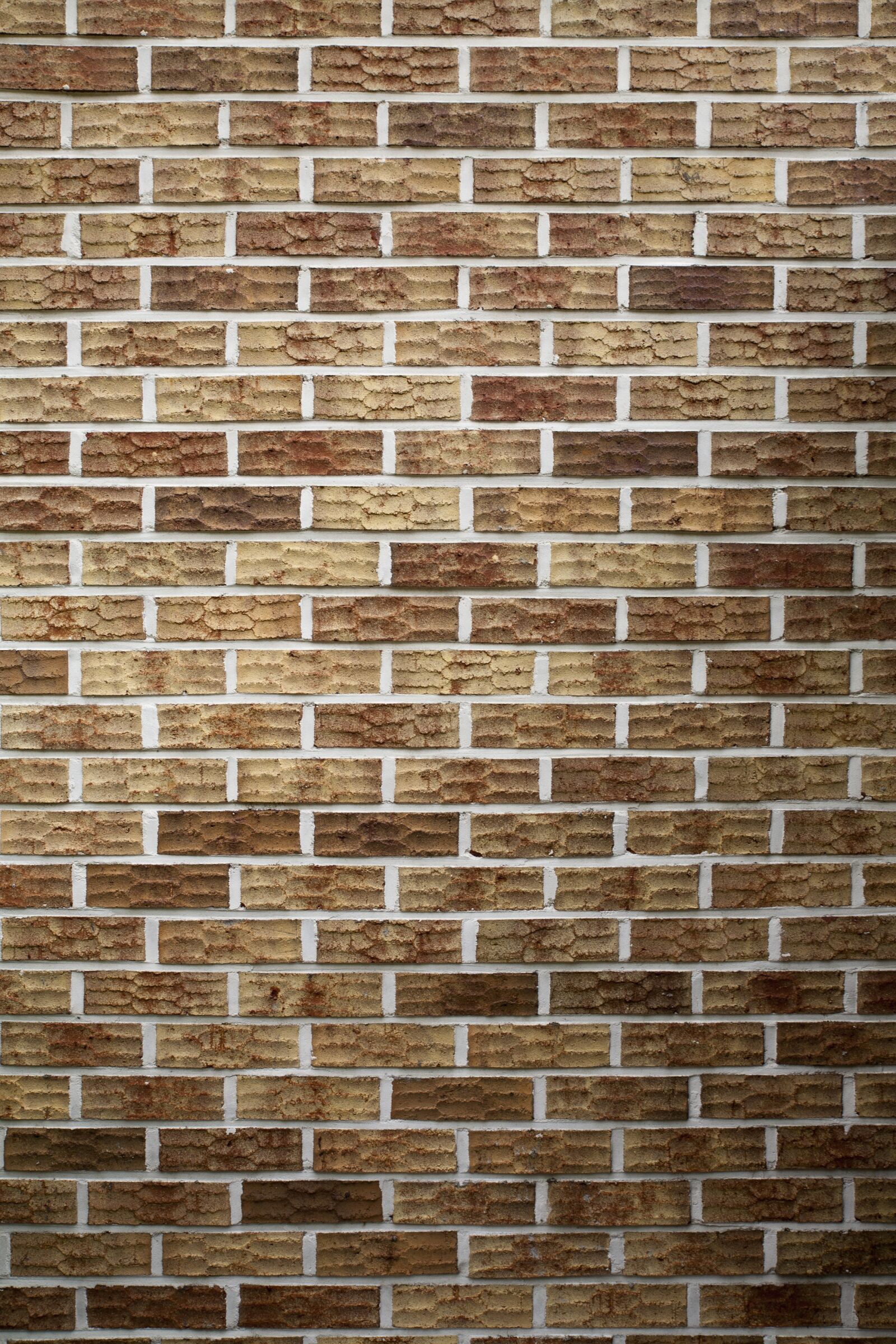 Canon EOS 5D sample photo. Block, texture, background photography