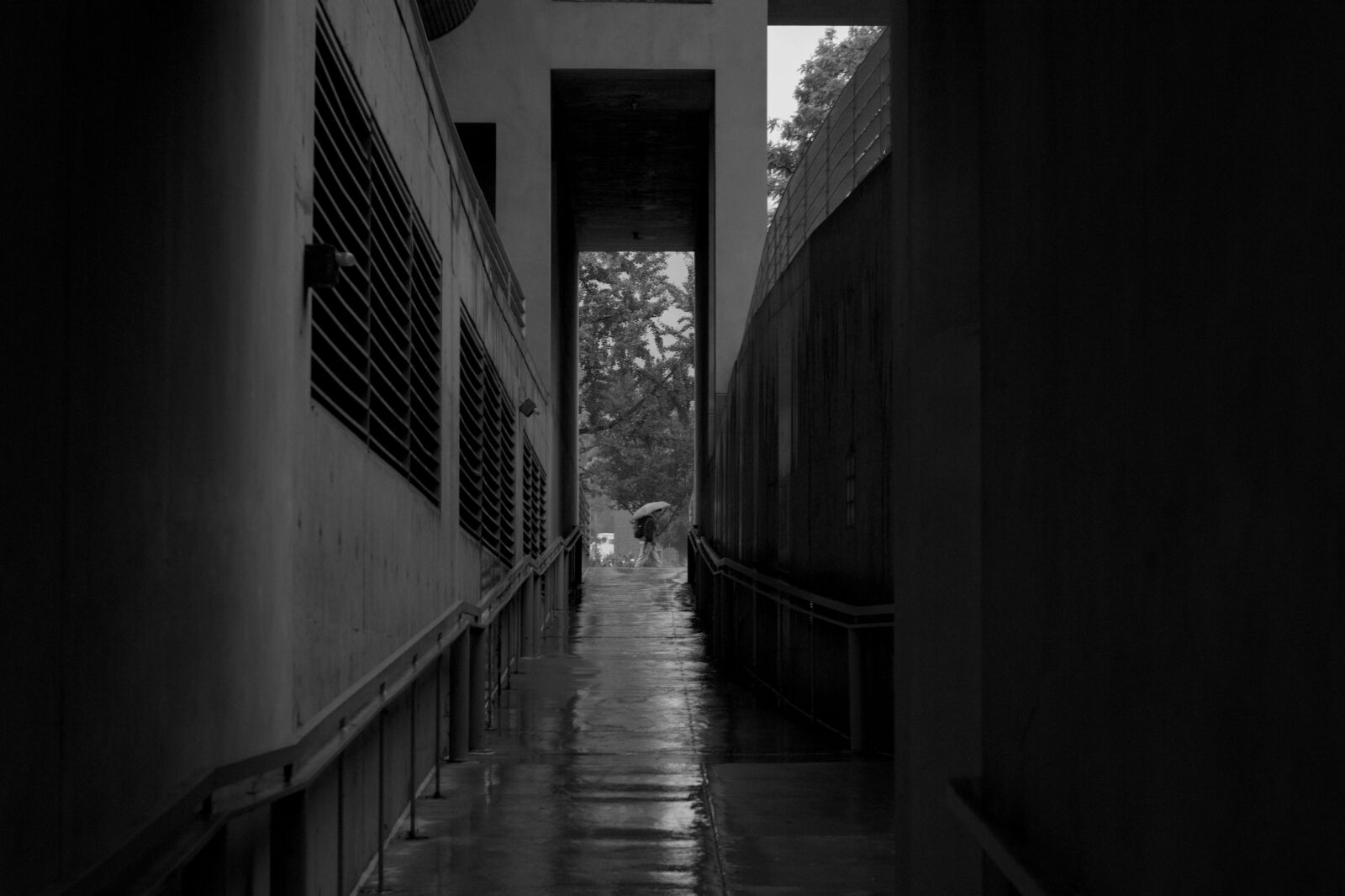 Sony Alpha DSLR-A350 + Minolta AF 50mm F1.7 sample photo