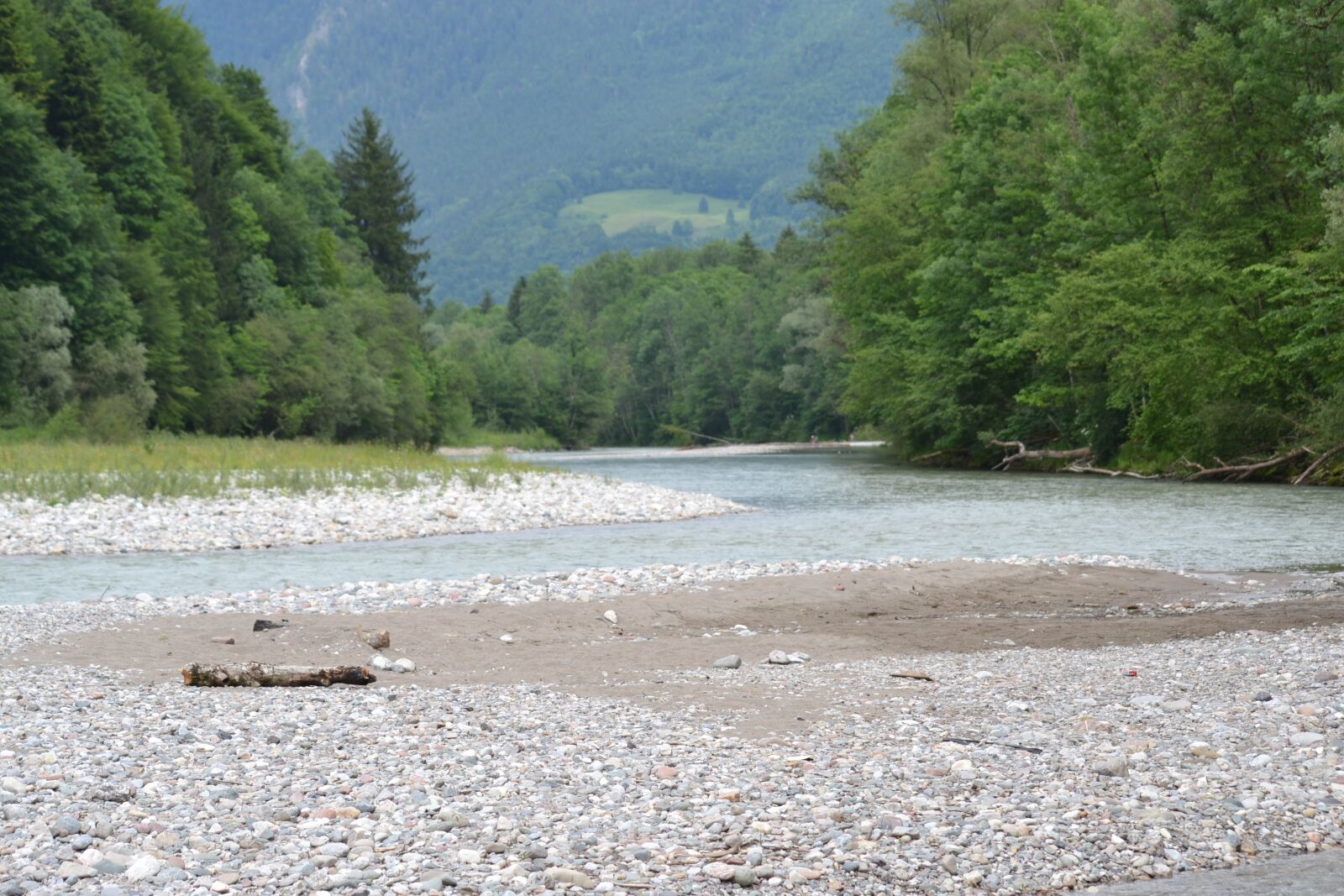 Nikon D3100 sample photo. Rocky river bed, forest photography