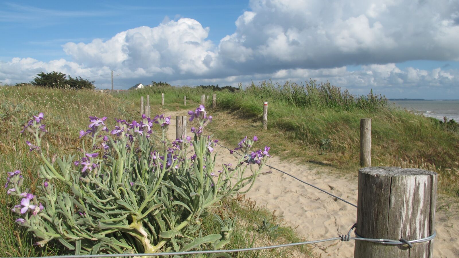Canon PowerShot G12 sample photo. Dunes, sand dunes, atlantic photography