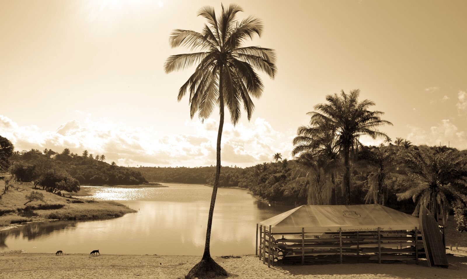 Nikon D3100 sample photo. Best place, leisure, field photography
