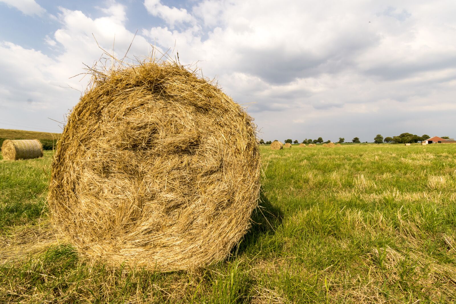 Nikon D3300 sample photo. Hay bales, hay, harvest photography