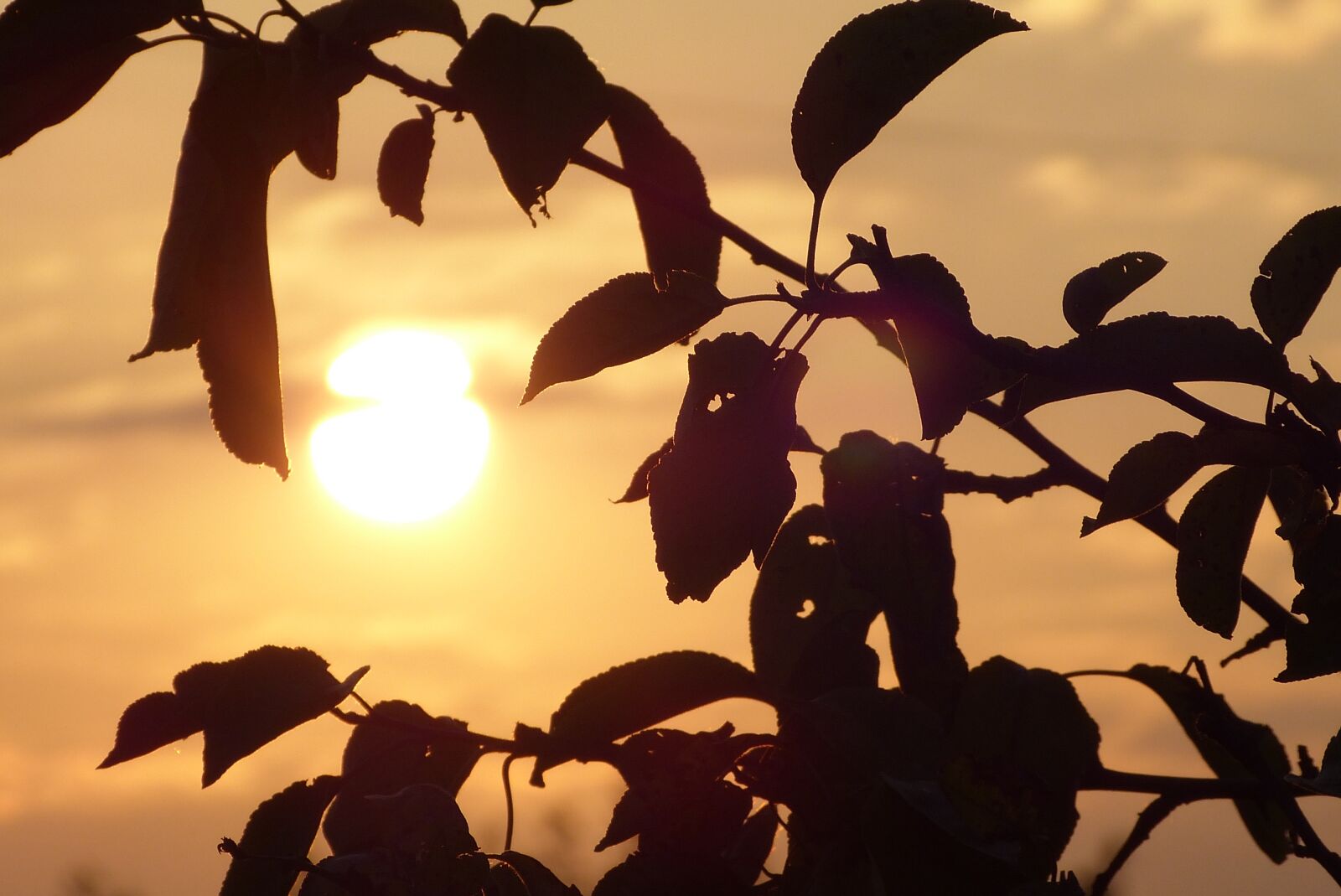 Panasonic Lumix DMC-FZ150 sample photo. Sunset, the sun, sky photography