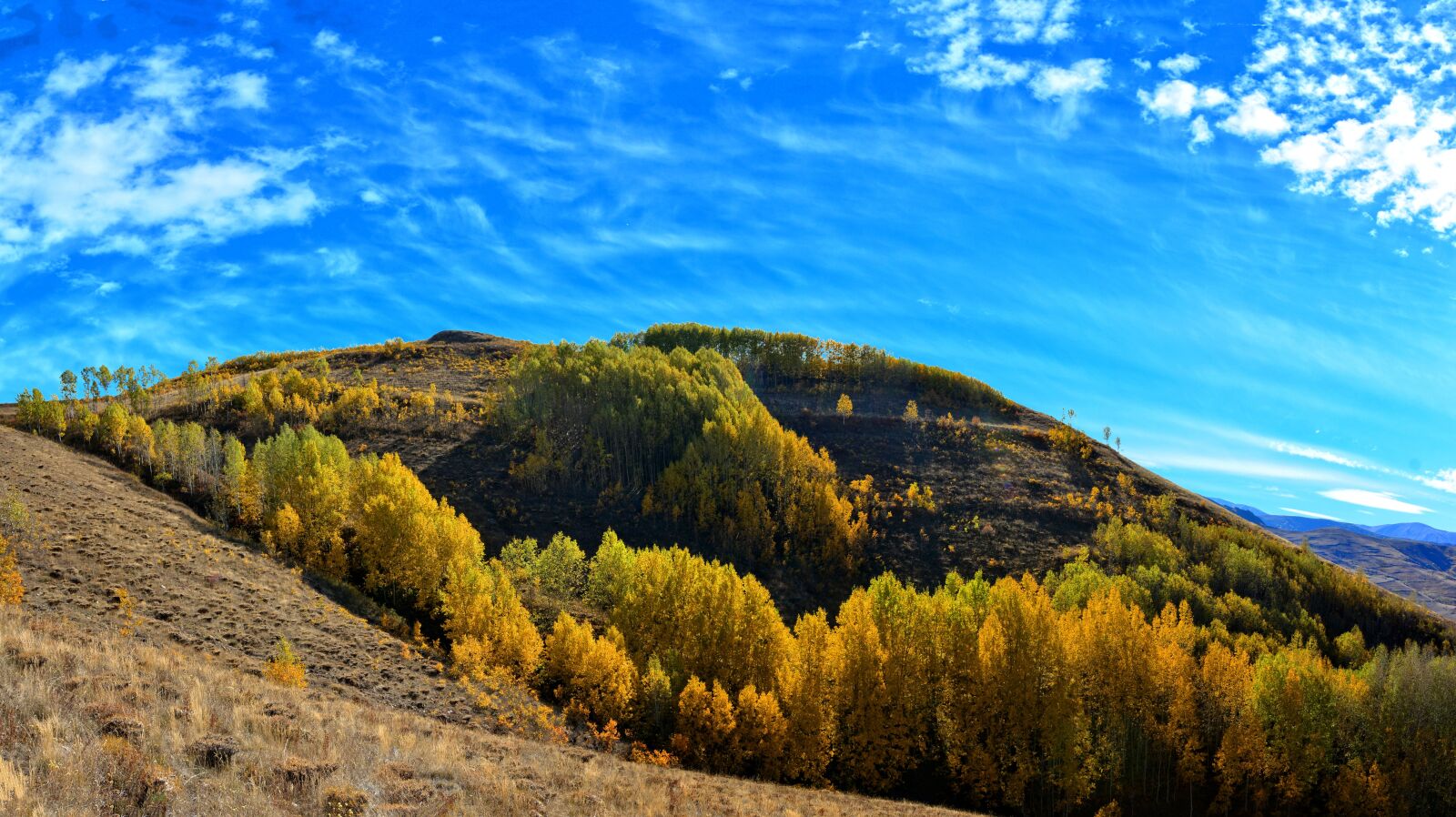 Nikon D7100 sample photo. Autumn, season, nature photography