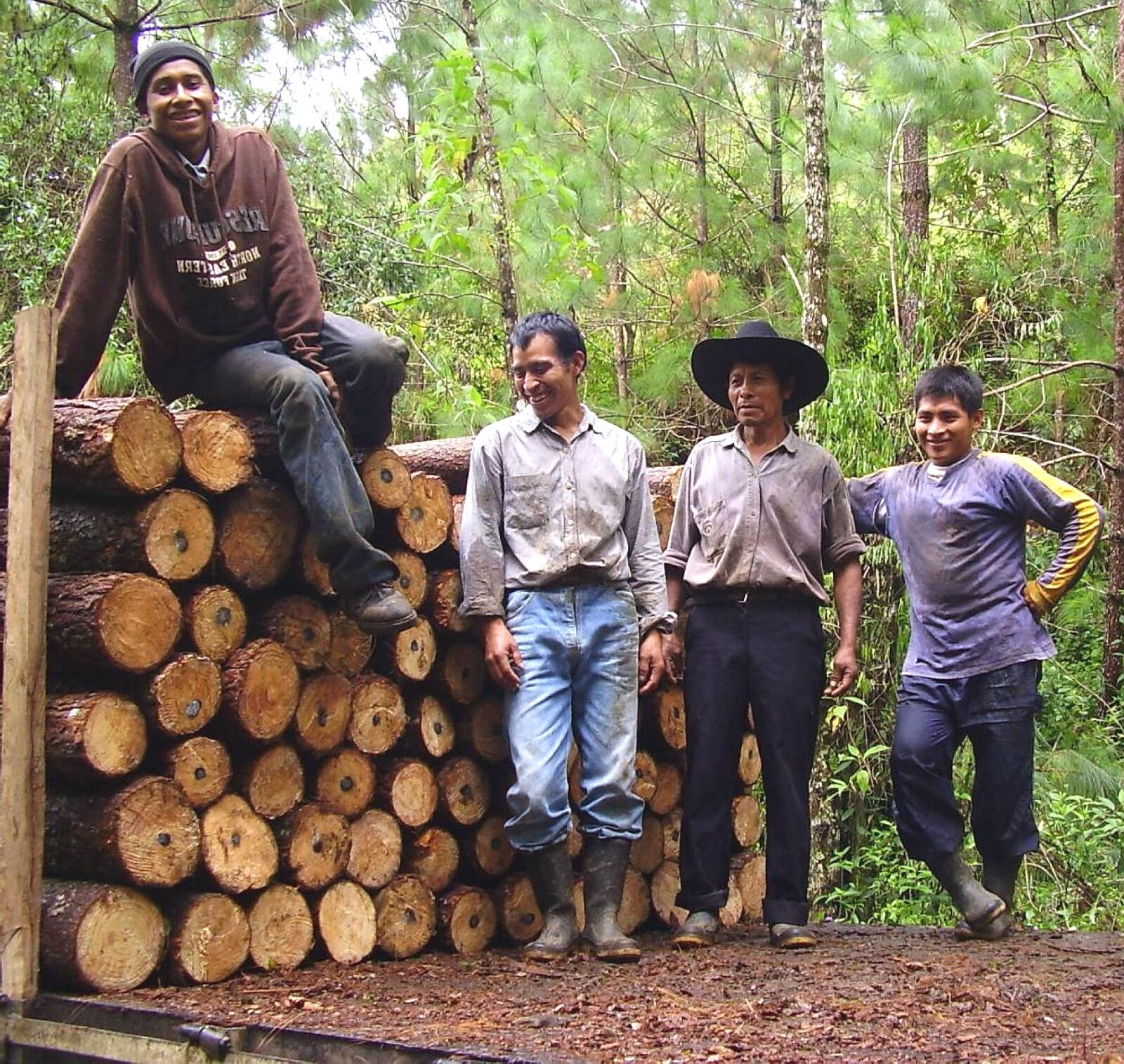 Olympus X450,D535Z,C370Z sample photo. Woodcutters, men, forest, work photography