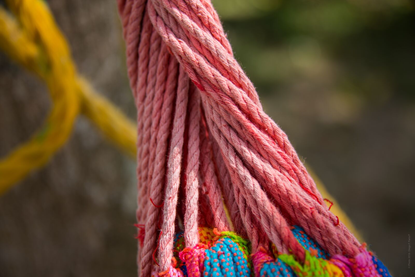 Nikon D800 sample photo. Hammock, tie, rope photography