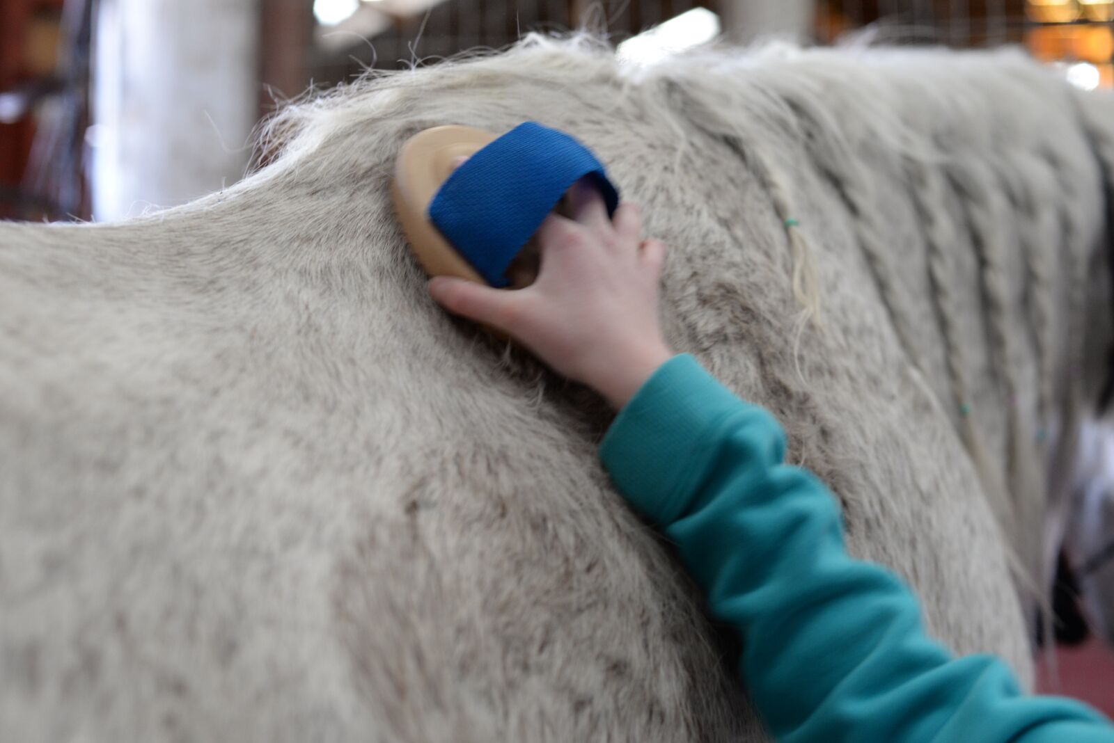 Nikon D610 sample photo. Stables, horse, farm photography