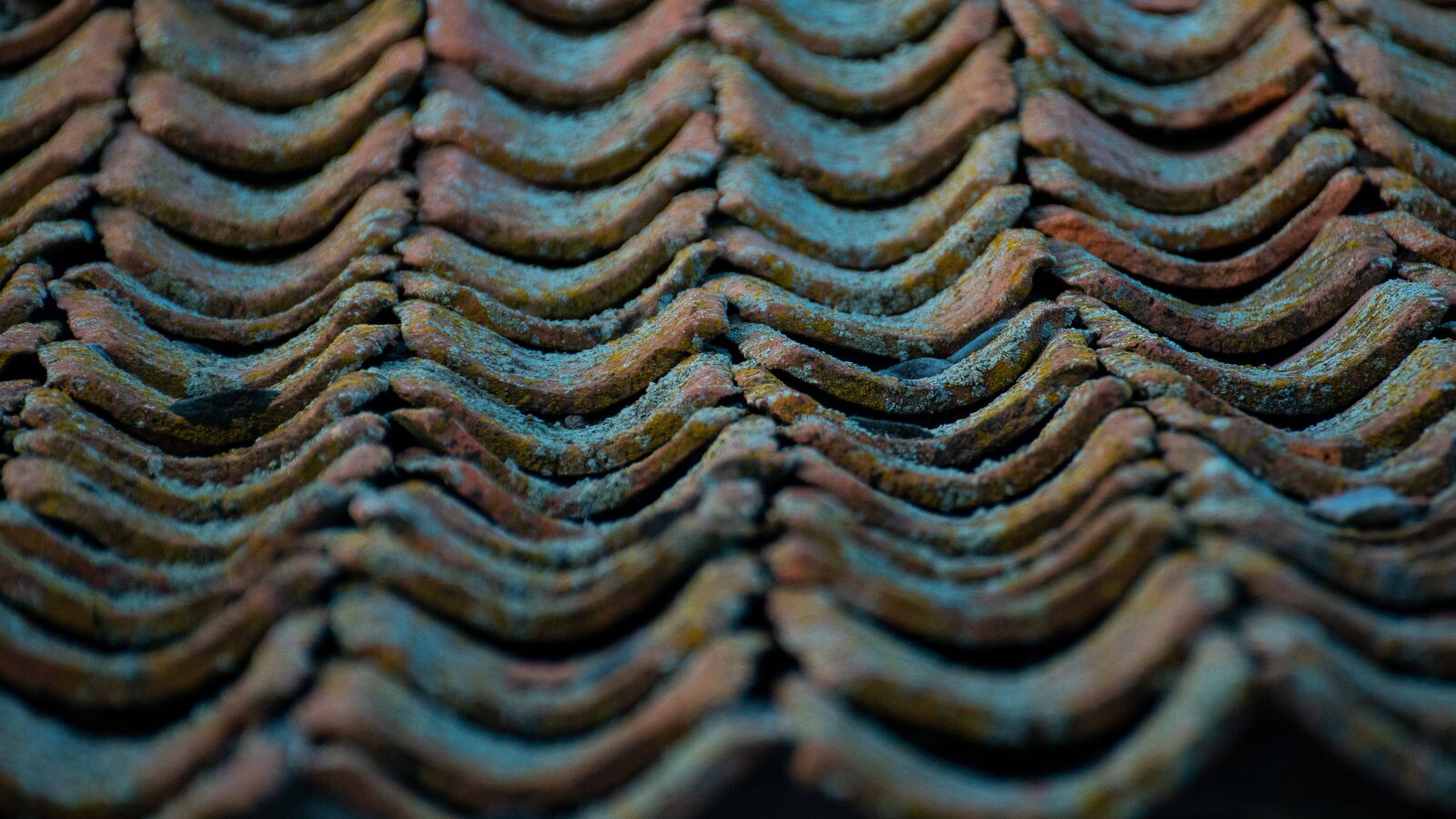 Sony a6500 + Sony DT 50mm F1.8 SAM sample photo. Roof, texas, buildings photography
