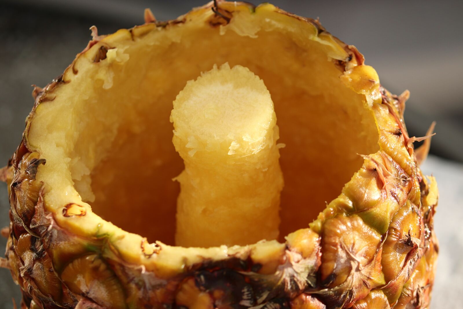 Canon EOS 200D (EOS Rebel SL2 / EOS Kiss X9) sample photo. Pineapple, hollowed out, shell photography
