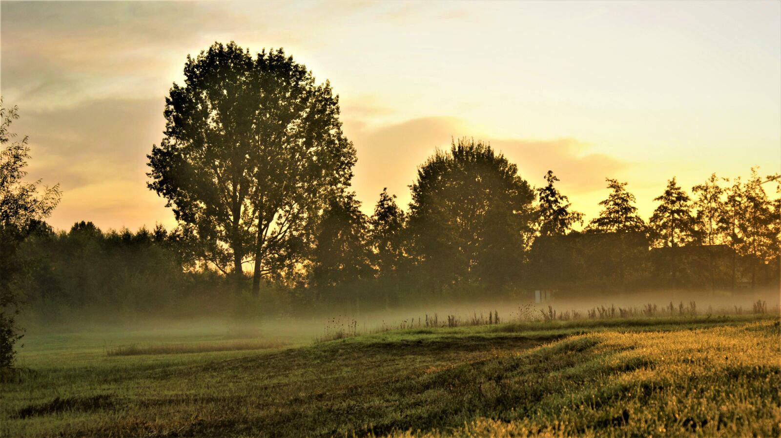 Sony Alpha DSLR-A350 sample photo. Fog, tomorrow, sun photography