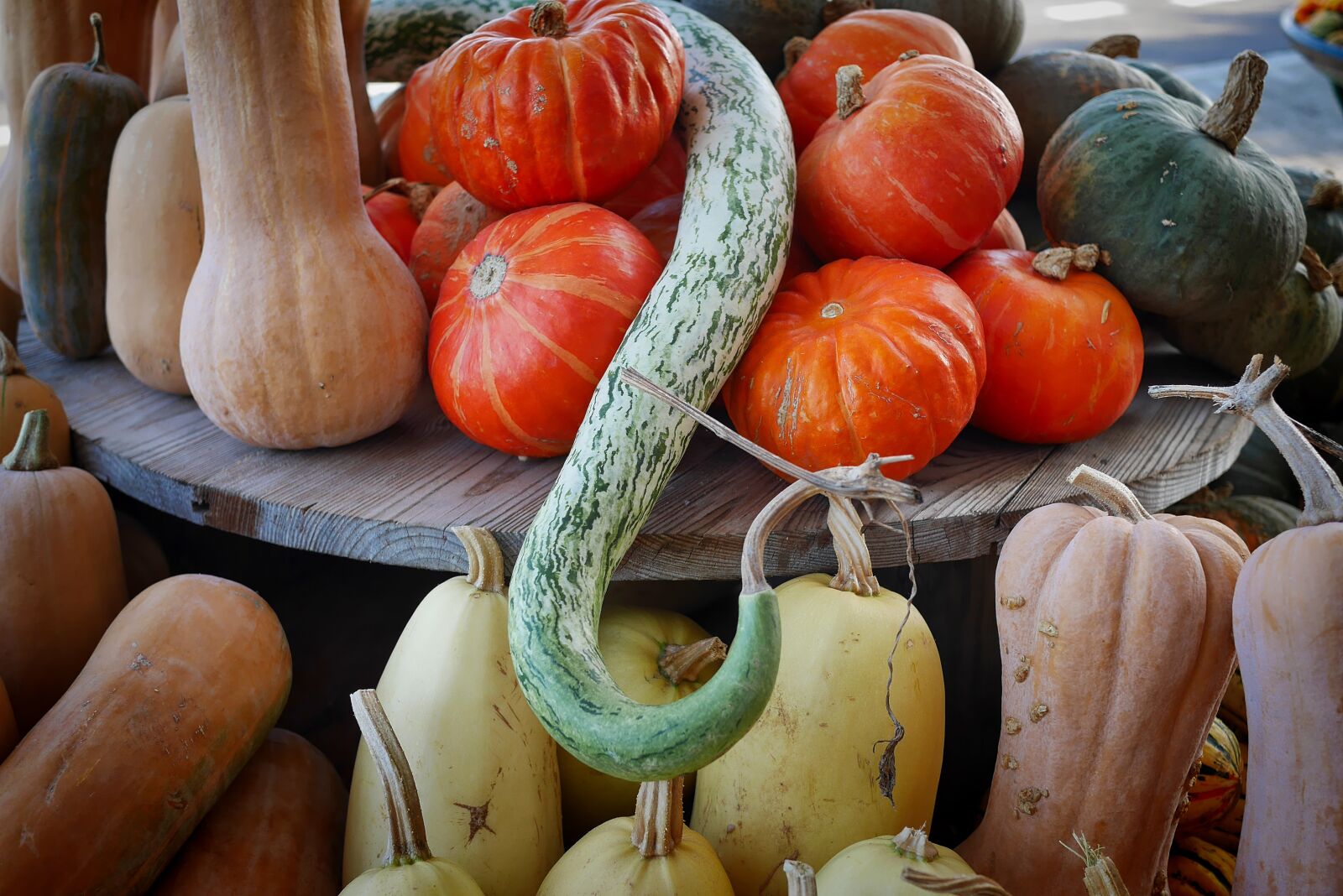Panasonic Lumix DMC-GX7 sample photo. Pumpkin, autumn, food photography