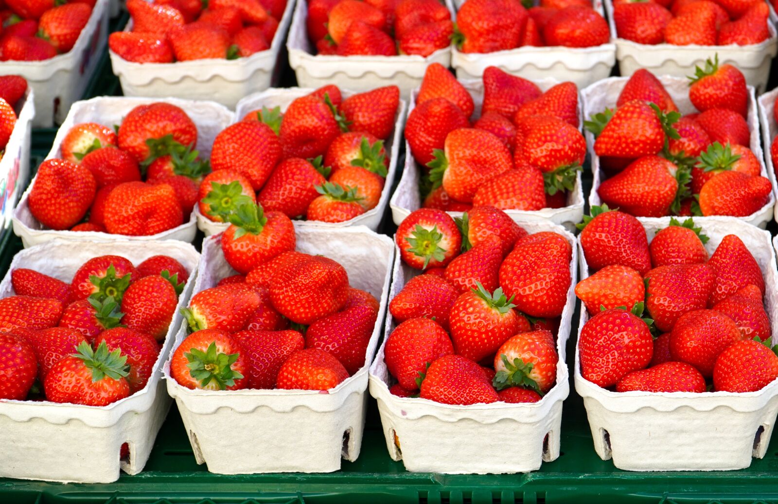 Sony E PZ 18-105mm F4 G OSS sample photo. Strawberries, fresh, fruit photography