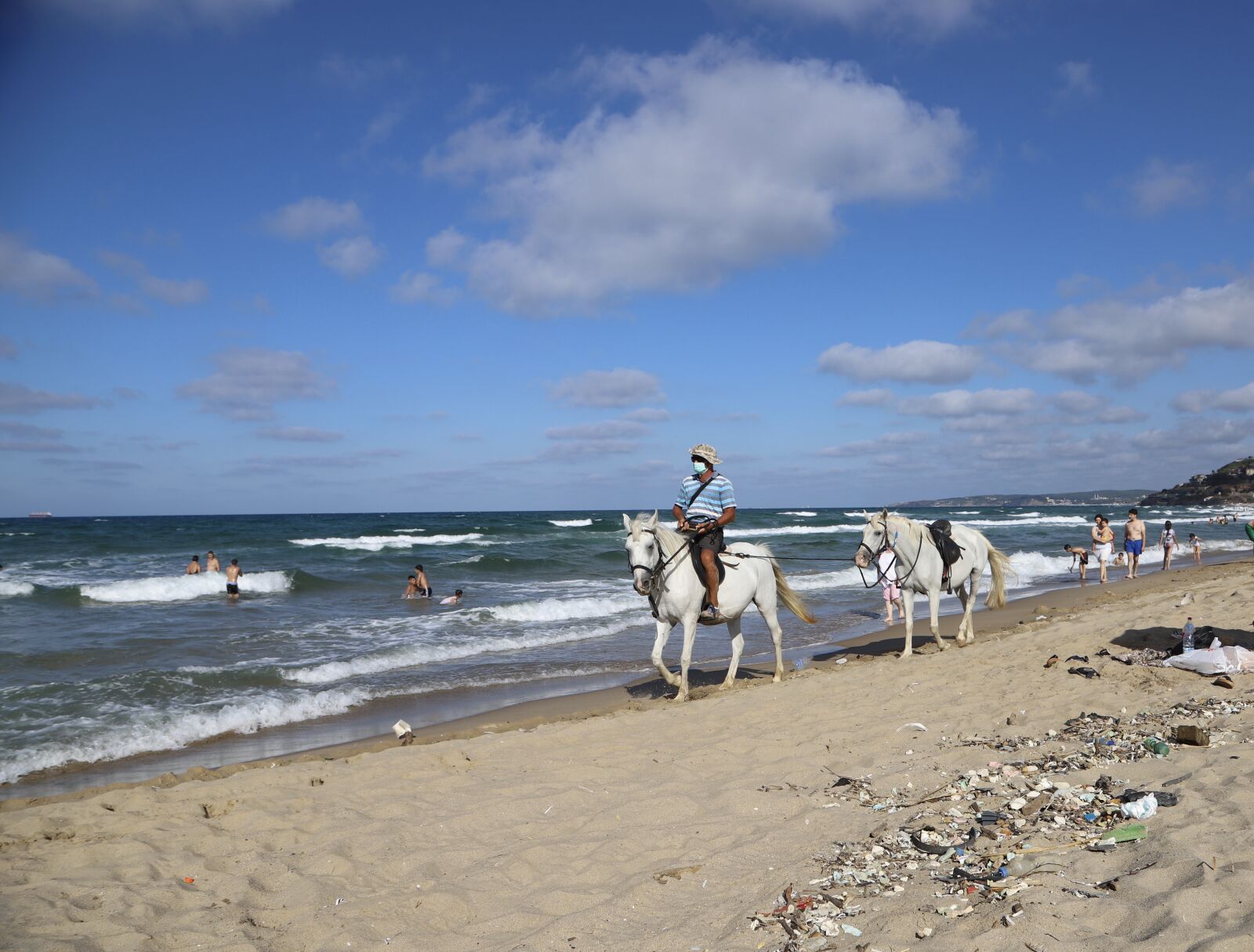 Canon EOS 6D Mark II + Canon EF 24-105mm F4L IS USM sample photo. Horse, the horses are photography