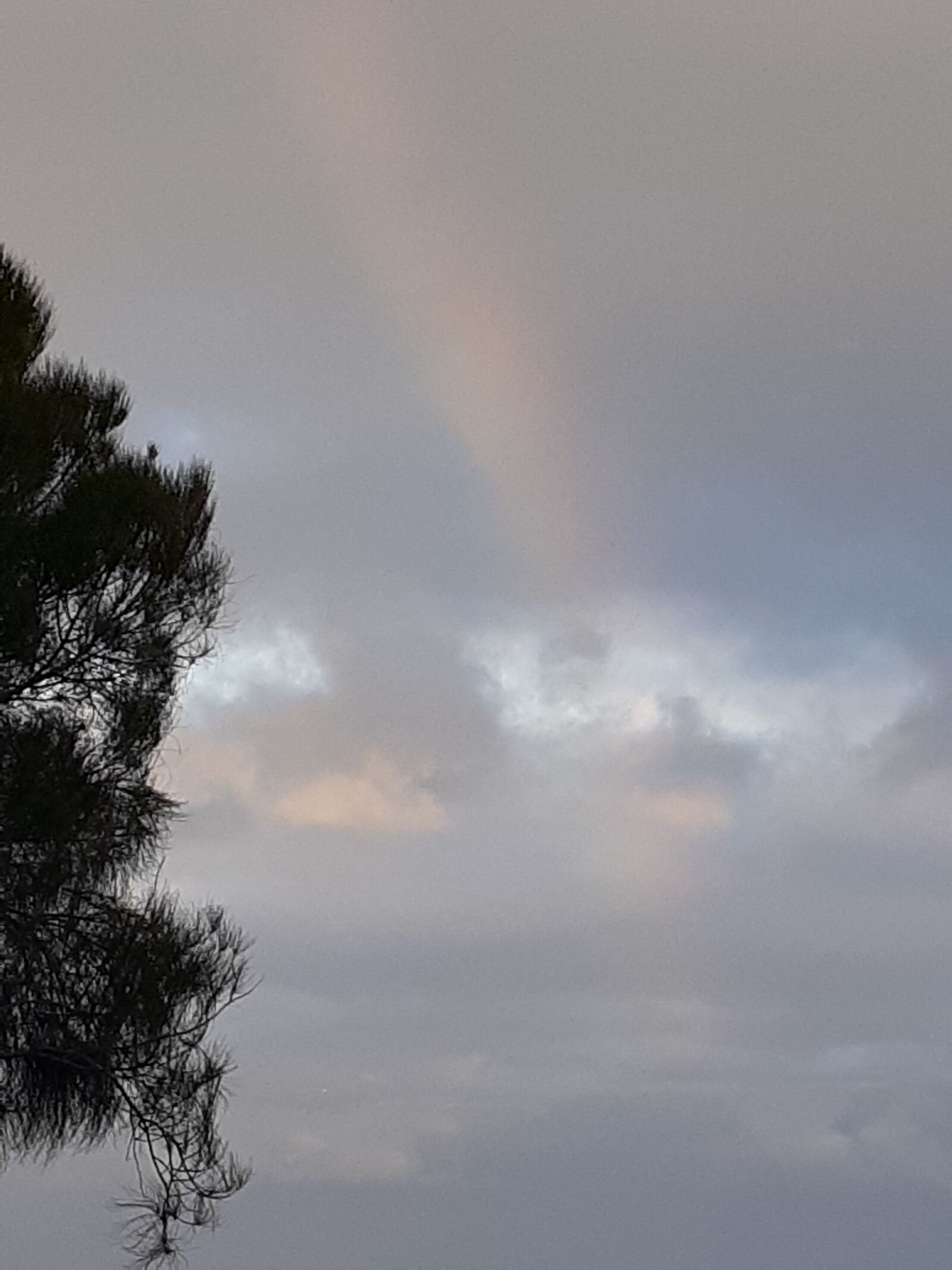 Samsung Galaxy A20 sample photo. Rainbow, over, me photography
