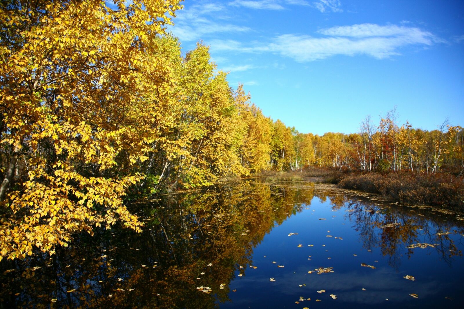 Canon EOS 5D sample photo. Autumn, forest, lake photography