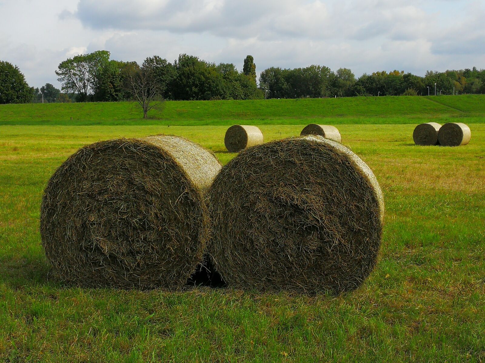 HUAWEI Mate 9 sample photo. Agriculture, straw role, round photography