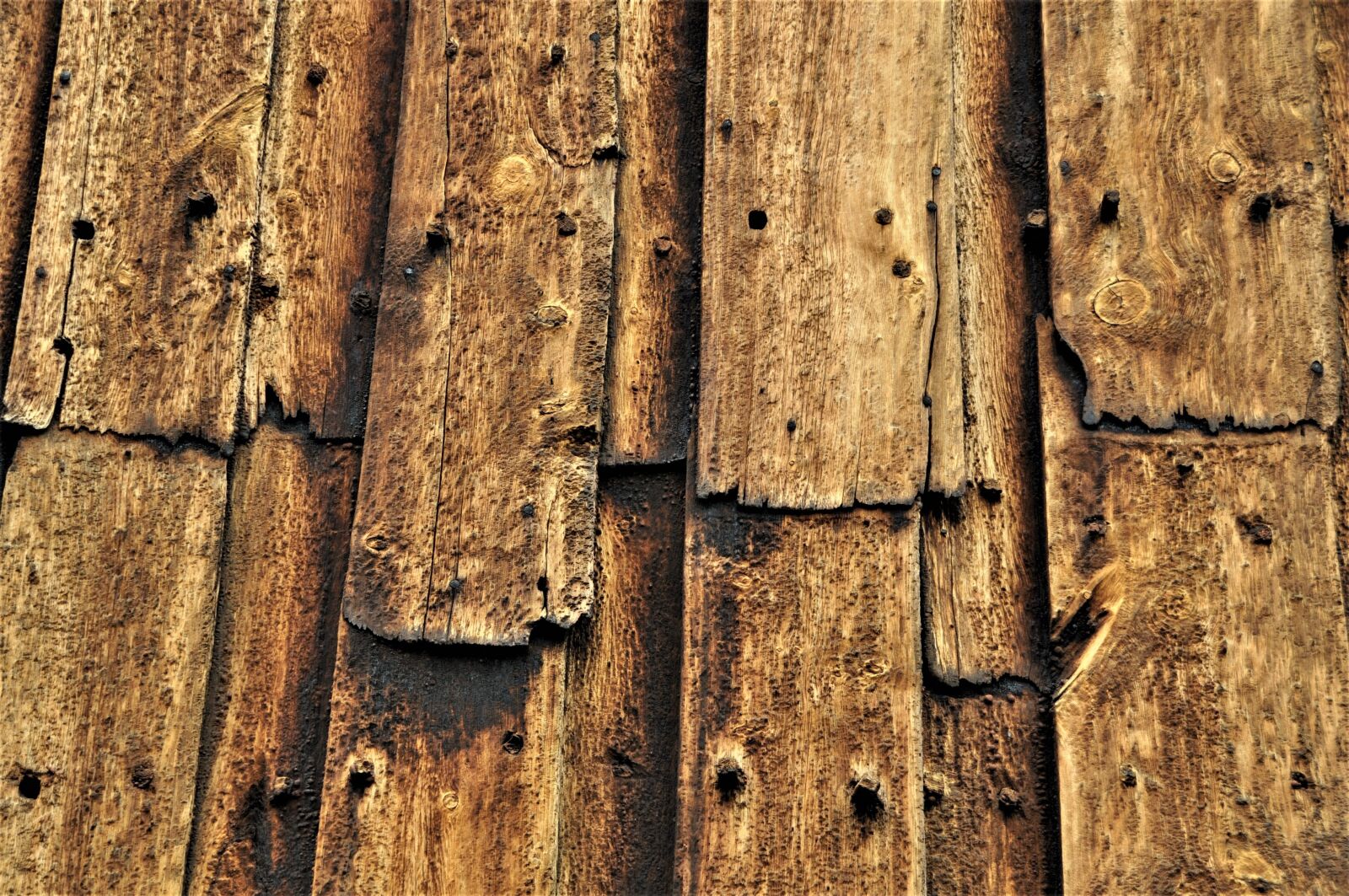 Nikon D5000 sample photo. Wood, old, old wood photography