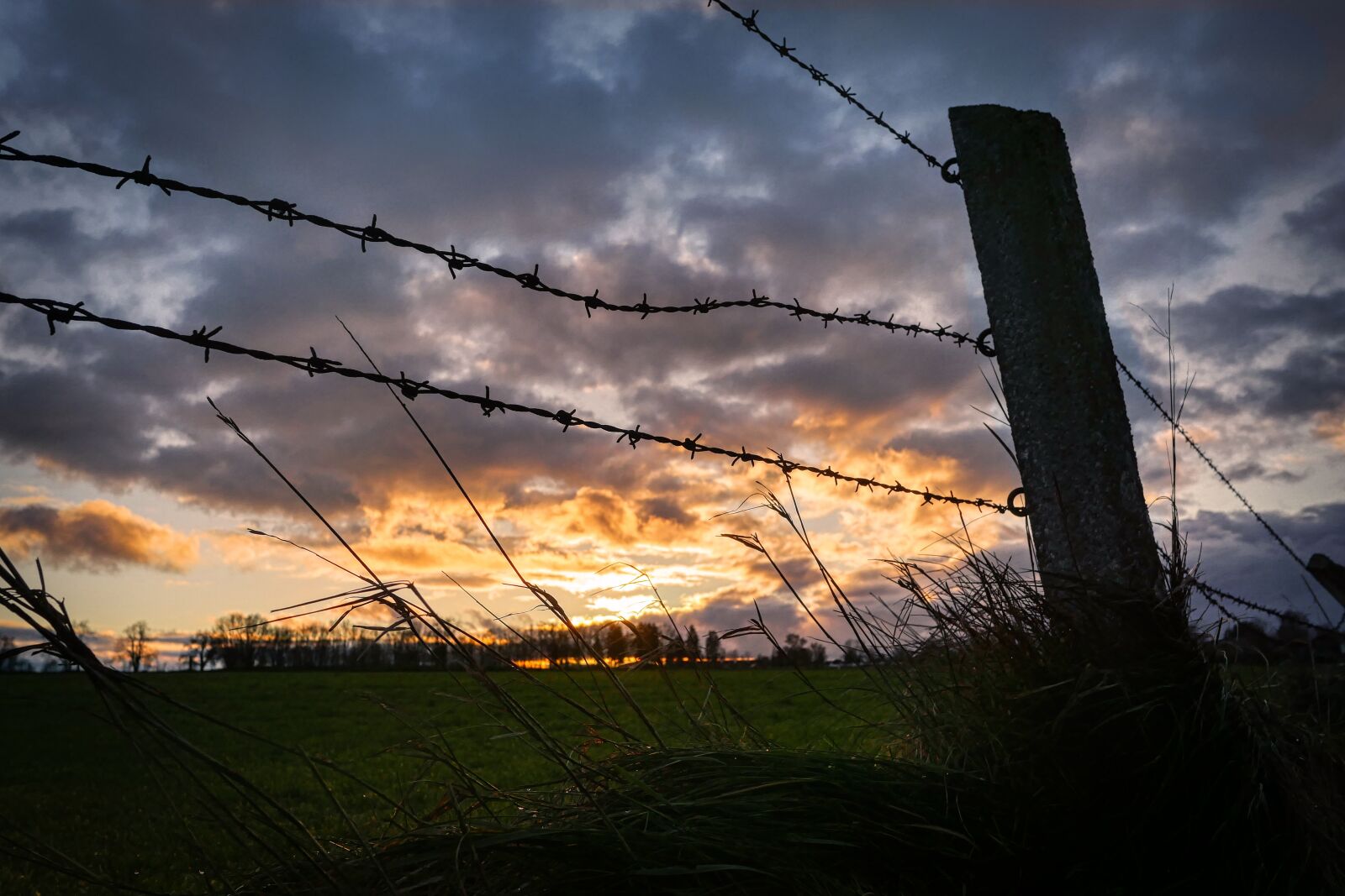 Panasonic Lumix DMC-GX8 sample photo. Sunset, pasture, fence photography