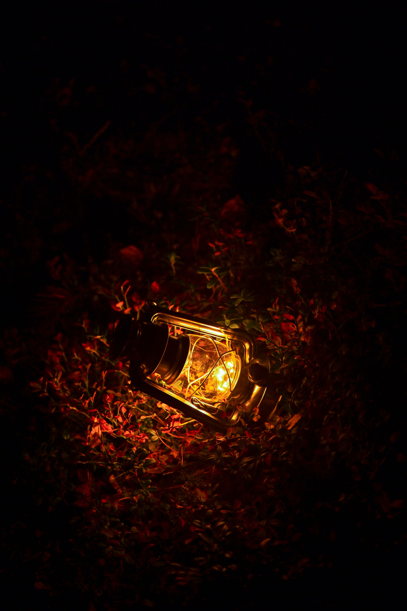Nikon Z7 sample photo. Lantern of the ground photography