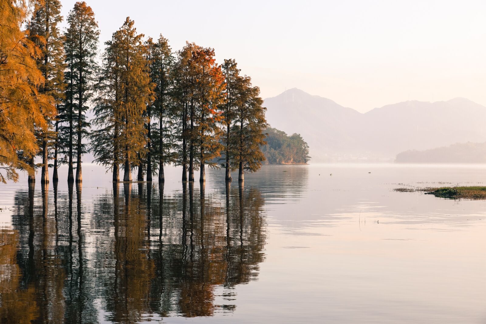 Canon EF 70-200mm F2.8L IS II USM sample photo. Lake, forest, nature photography