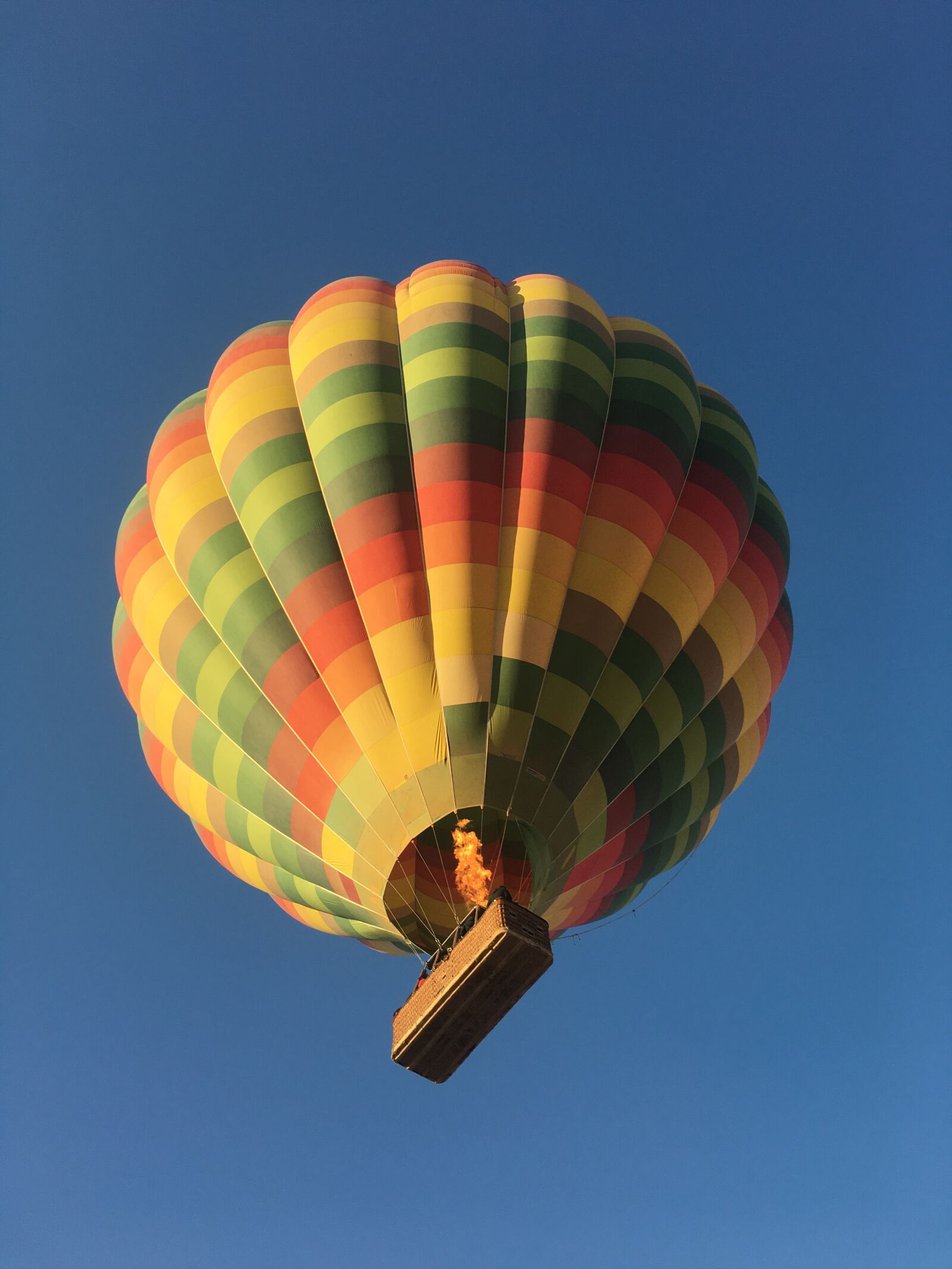 Apple iPhone 6s sample photo. Hot, air, ballon photography