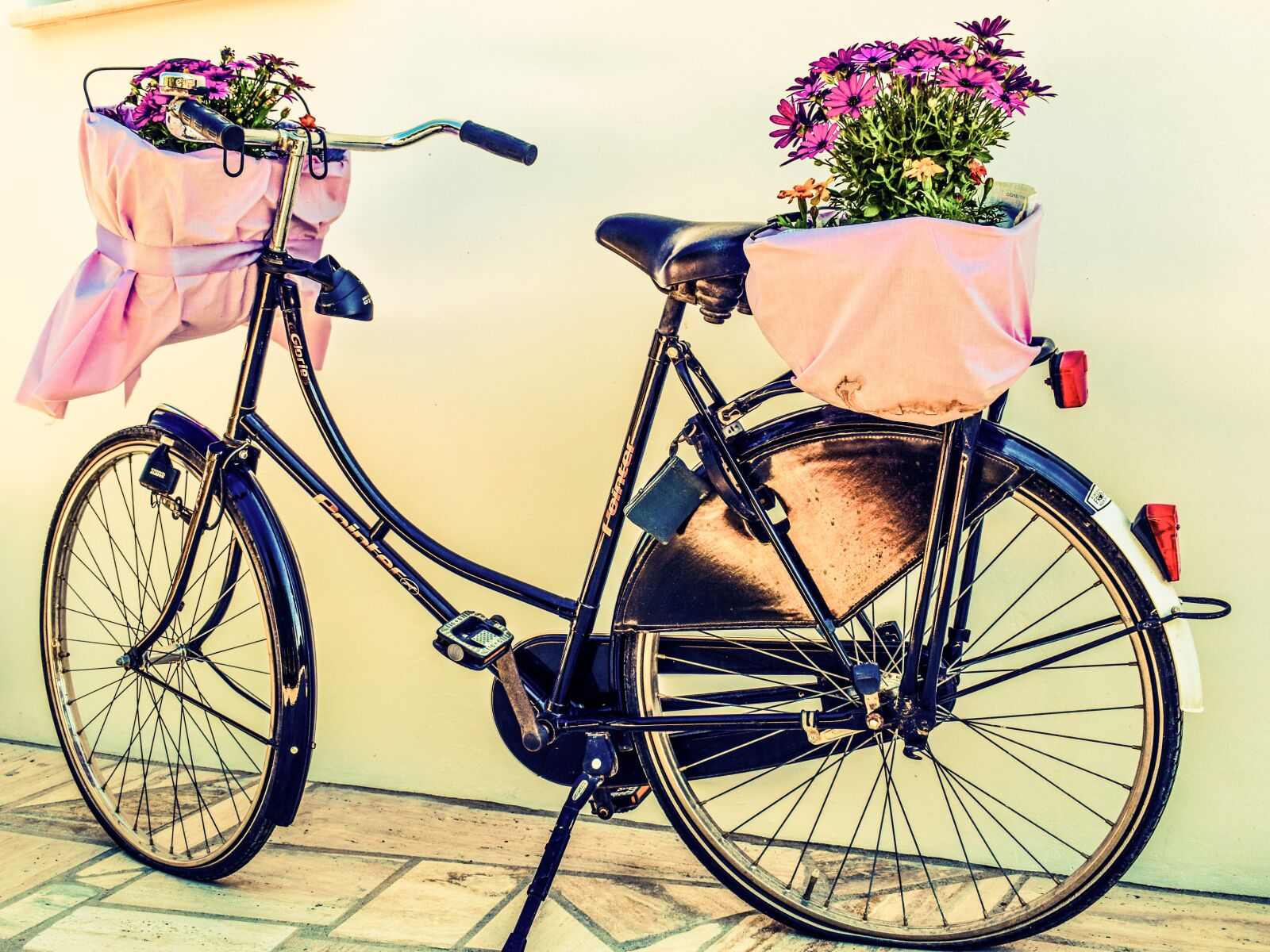 Nikon D3300 sample photo. Bicycle, flowers, basket photography