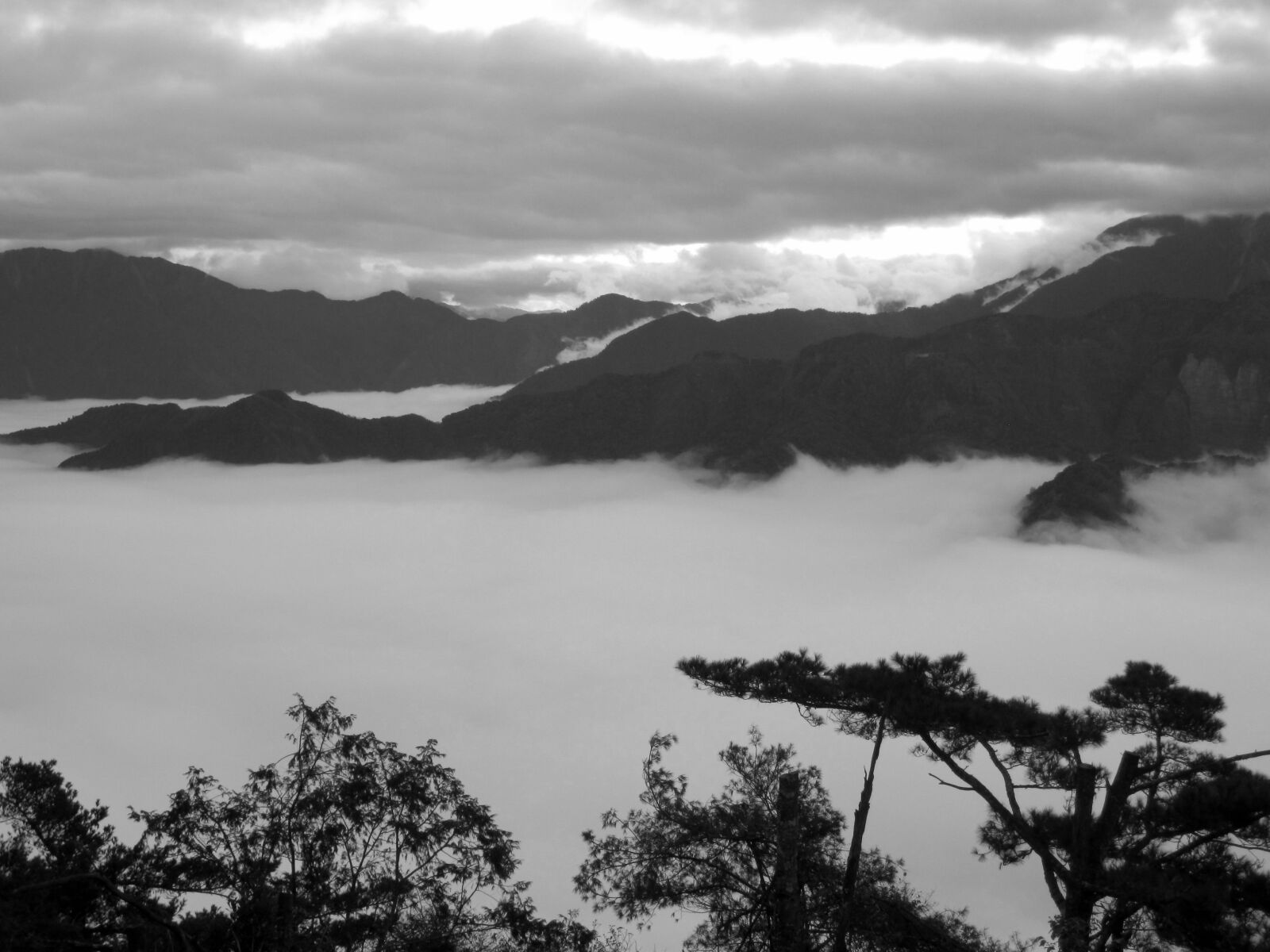 Canon PowerShot SD1200 IS (Digital IXUS 95 IS / IXY Digital 110 IS) sample photo. Taiwan, alishan, clouds below photography