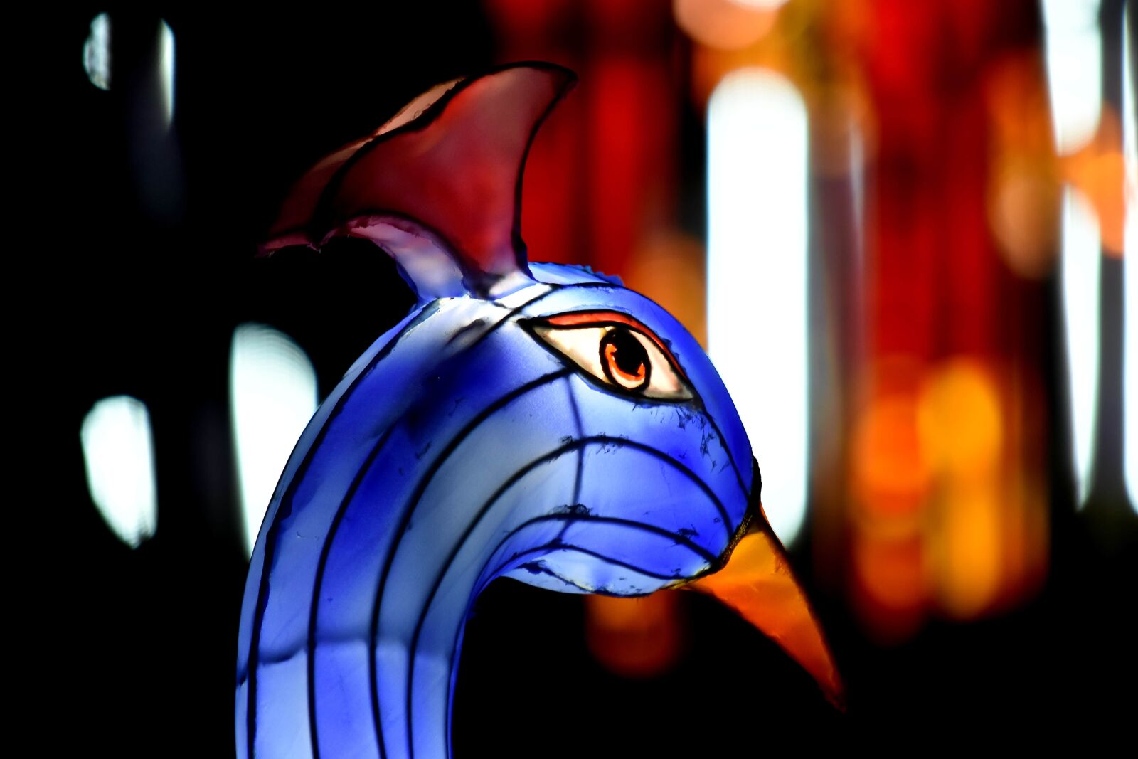 Nikon D5500 sample photo. Artwork, eye, head, peacock photography