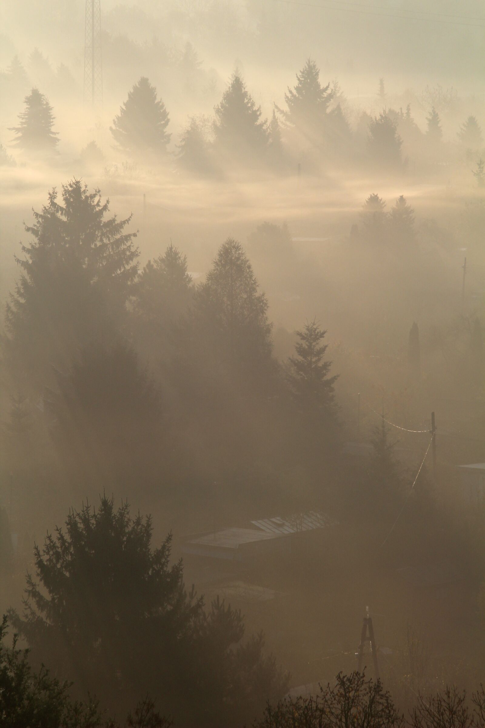 Canon EOS 1200D (EOS Rebel T5 / EOS Kiss X70 / EOS Hi) sample photo. The fog, morning, dawn photography