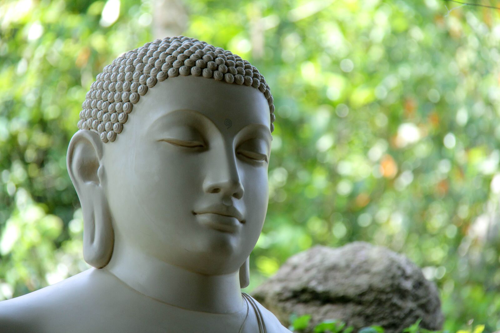 Canon EF-S 18-200mm F3.5-5.6 IS sample photo. Buddha, sri lanka, mahamevnawa photography