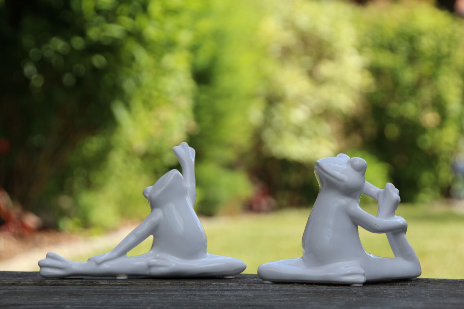 Canon EOS 1200D (EOS Rebel T5 / EOS Kiss X70 / EOS Hi) sample photo. Yoga, frogs, gymnastics photography