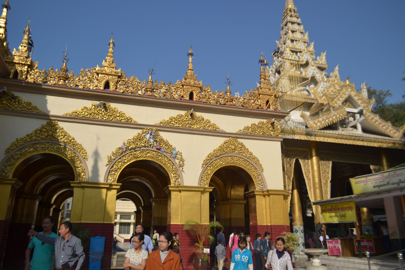 Nikon D3100 sample photo