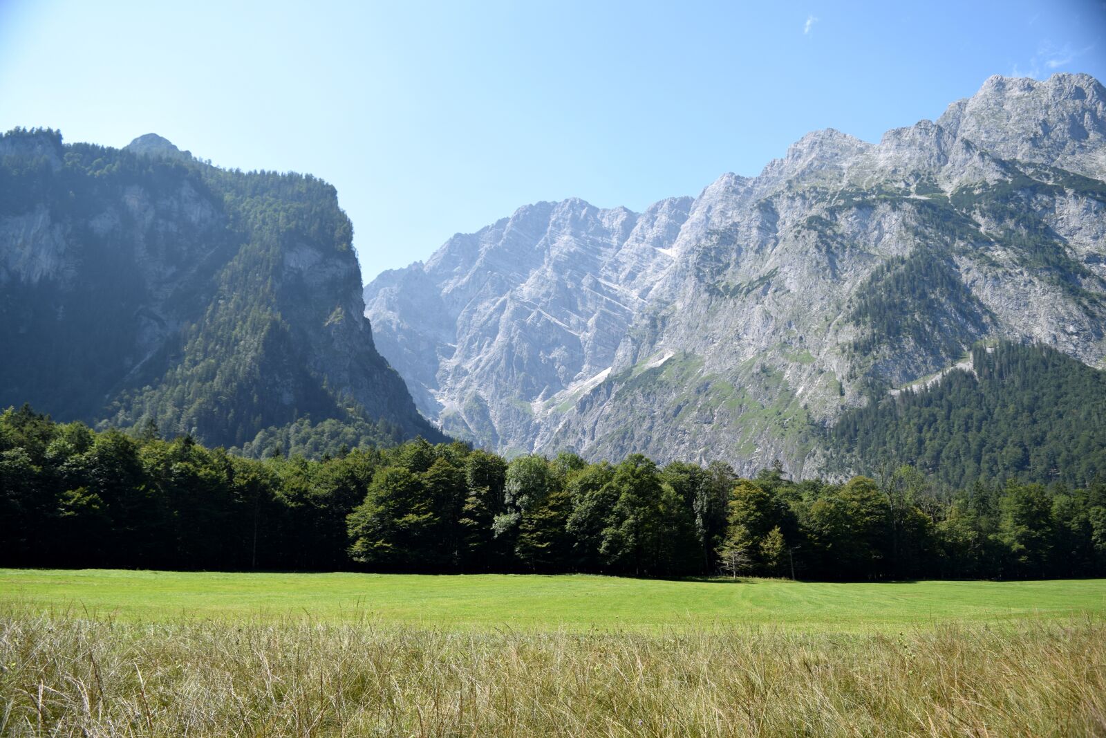 Nikon D5300 sample photo. Mountains, trees, forest photography