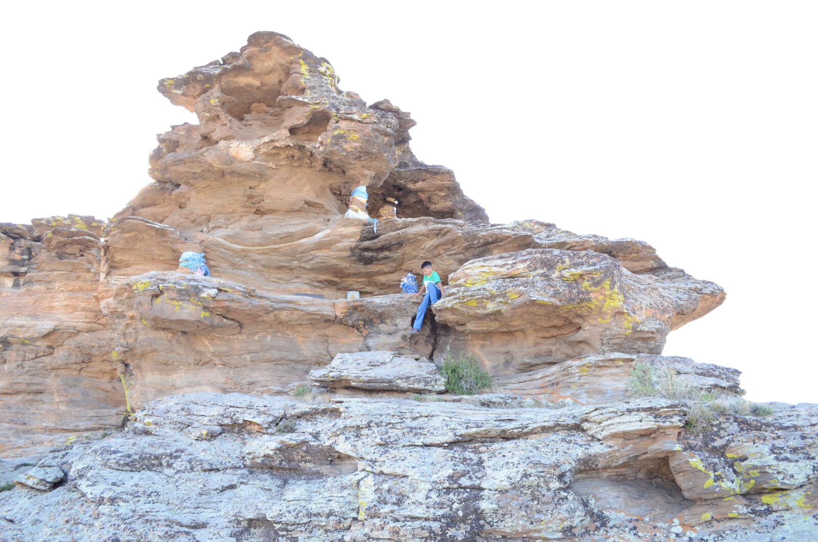 Nikon D5100 sample photo. Field, mongolia photography