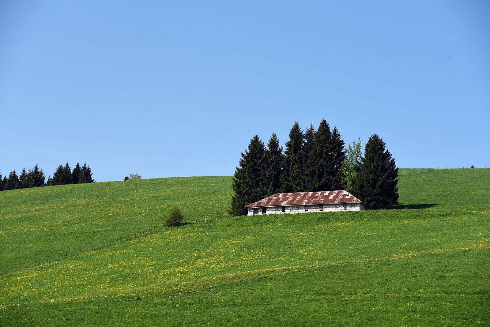 Nikon D750 sample photo. Asiago, asiago7comuni, veneto photography