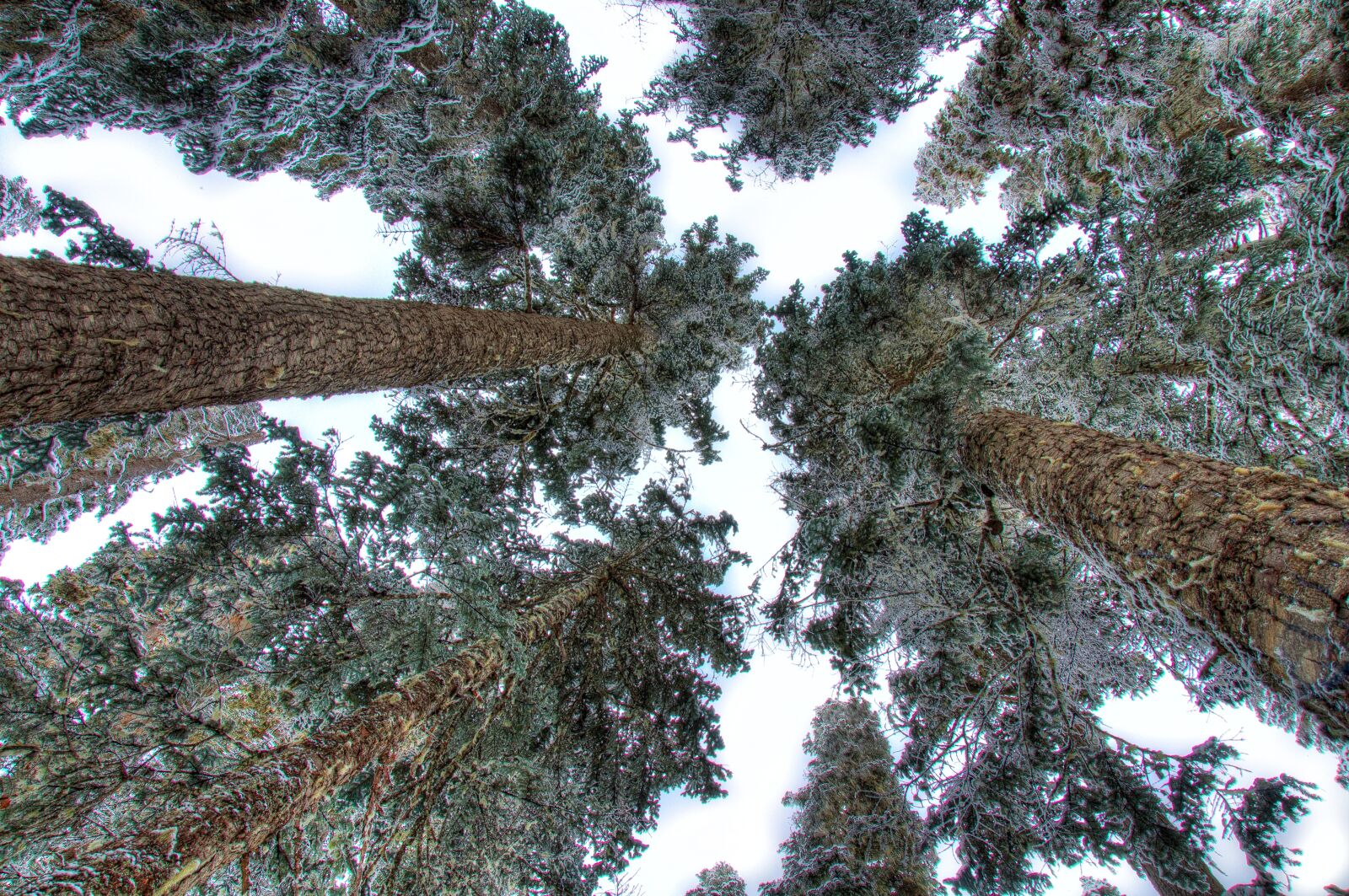 Nikon D5000 sample photo. Angle, background, beautiful photography
