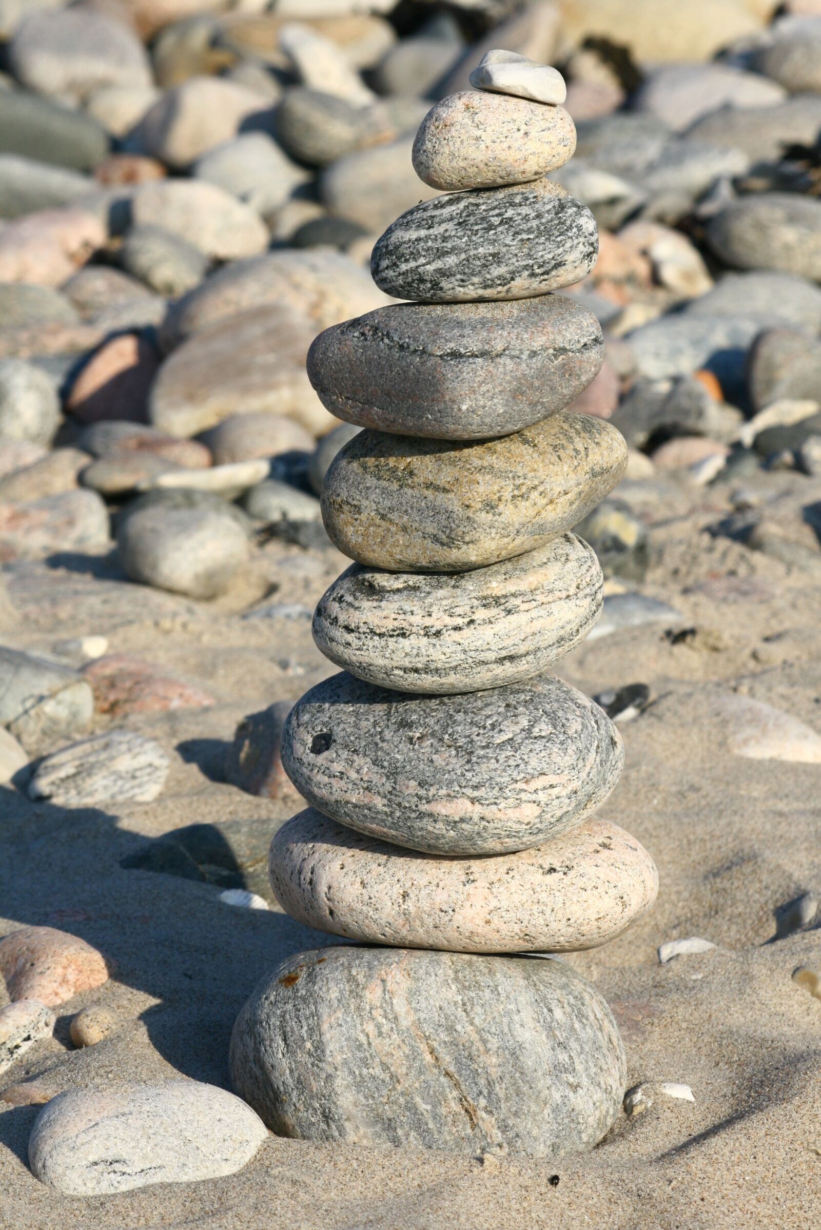 Canon EOS 400D (EOS Digital Rebel XTi / EOS Kiss Digital X) sample photo. Beach, stones, play photography