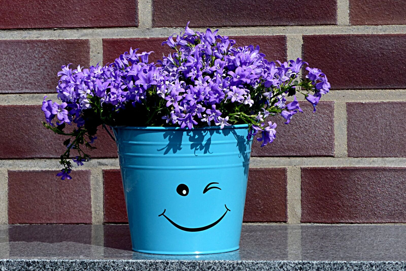 Panasonic Lumix DMC-FZ200 sample photo. Flowerpot, deco, smiley photography