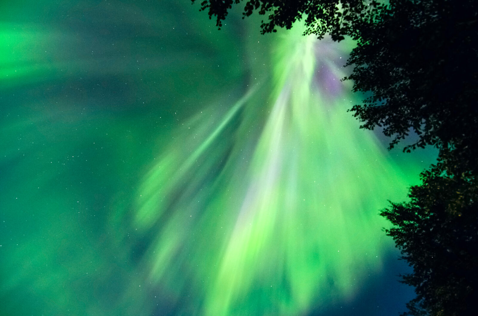 Nikon D7000 sample photo. Aurora, borealis, borealis, night photography