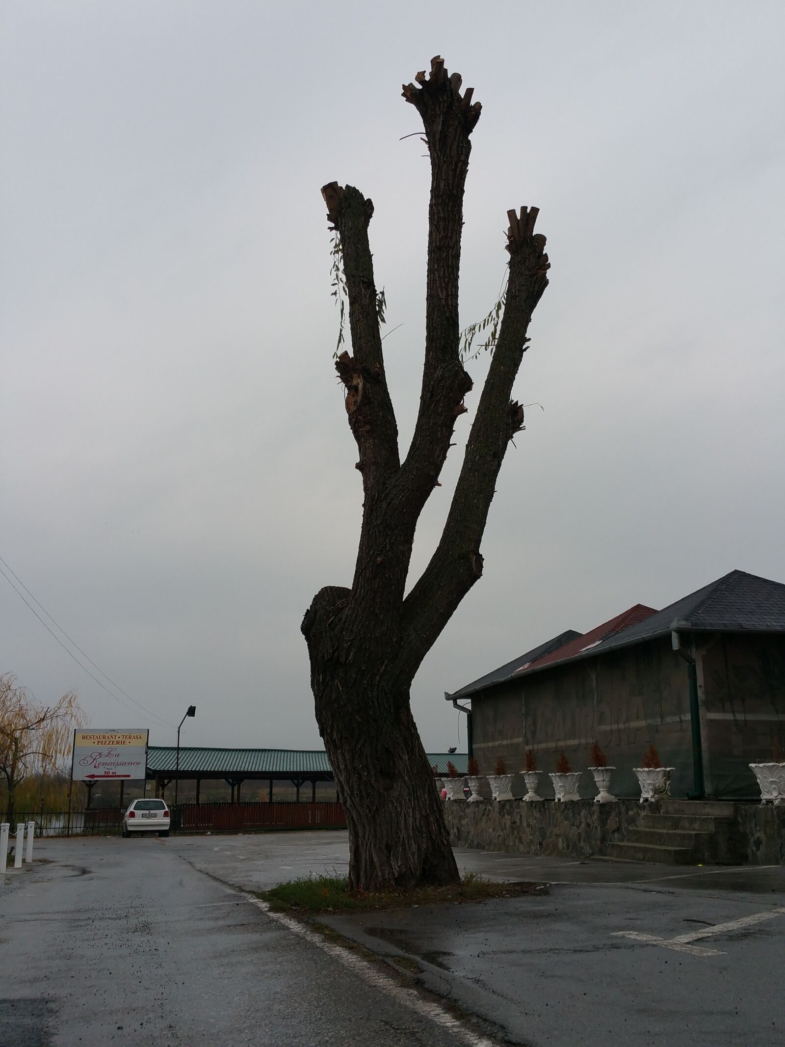 Samsung Galaxy Note4 sample photo