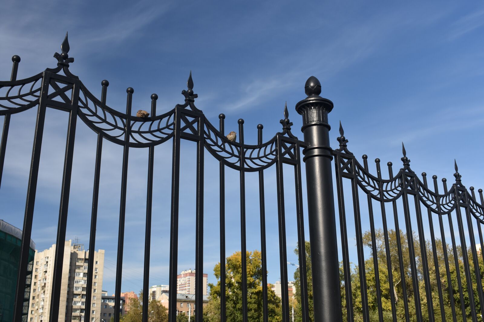 Nikon D3400 sample photo. Fence, grille, metal photography
