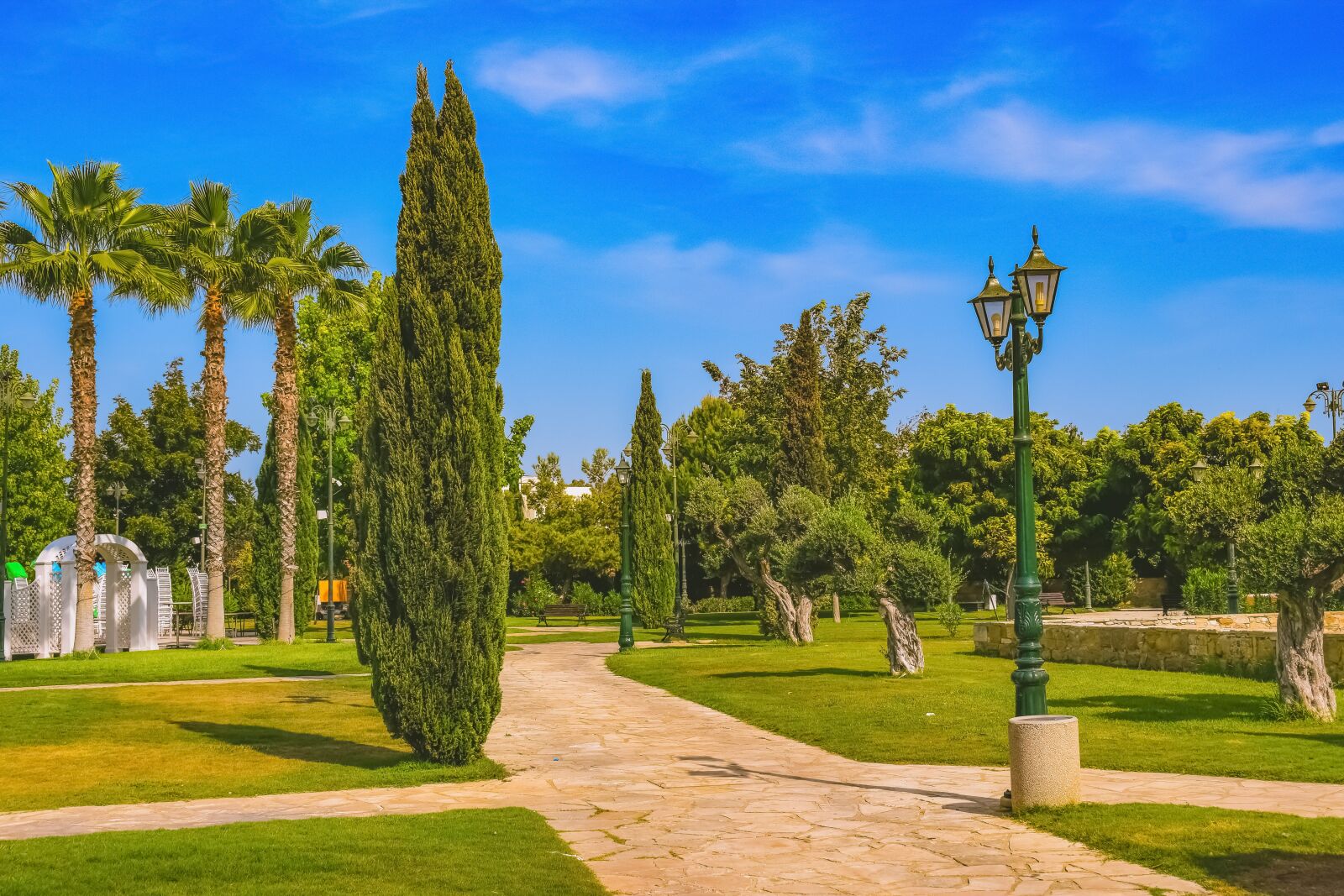 Nikon D3300 sample photo. Trees, lamp, square photography