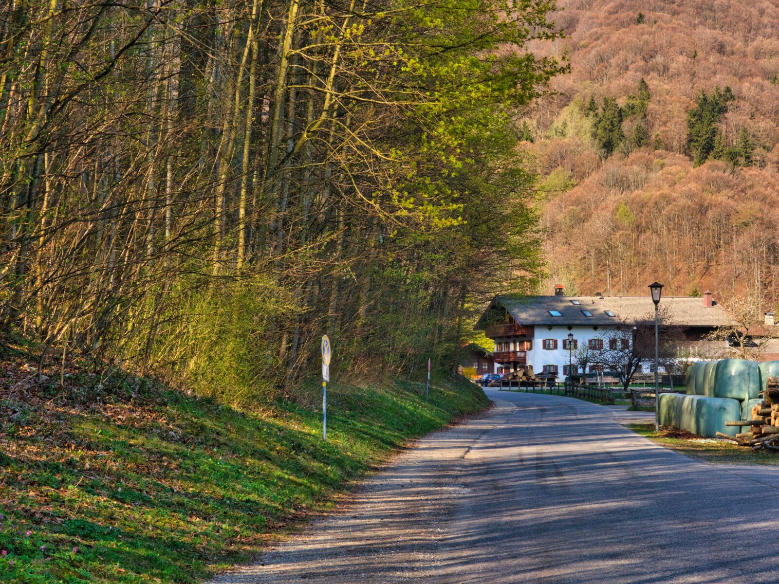 Nikon D7100 sample photo. Spring, road, away photography