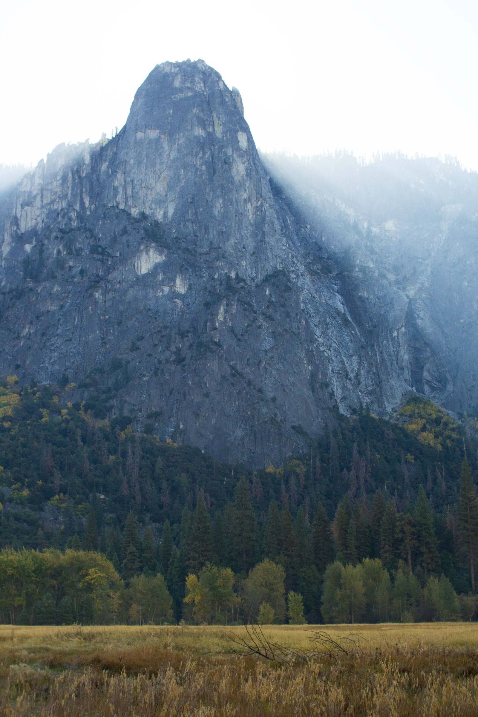 Canon EOS 550D (EOS Rebel T2i / EOS Kiss X4) sample photo. Yosemite, mist, field photography
