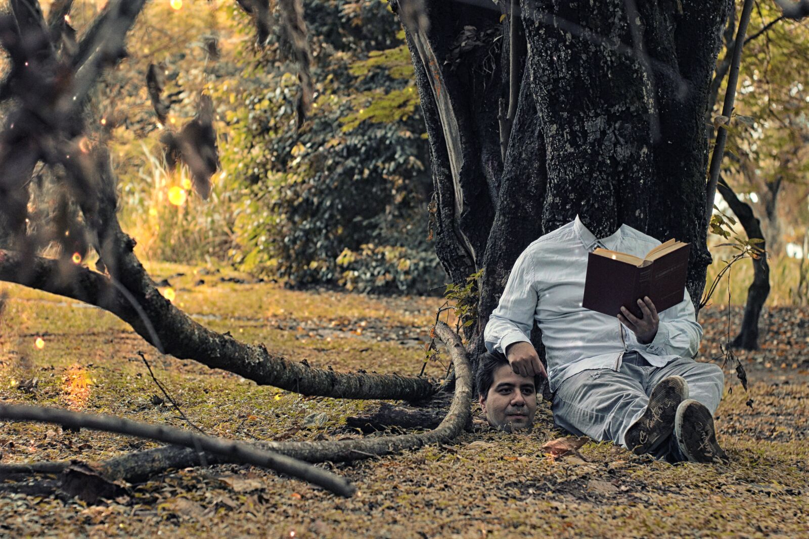 Canon EOS 600D (Rebel EOS T3i / EOS Kiss X5) sample photo. Surrealism, book, fantasy photography