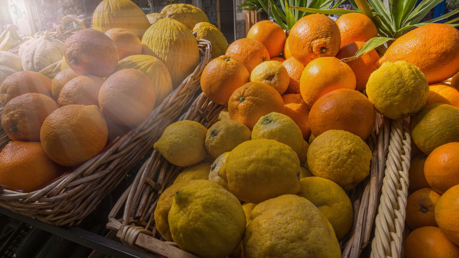 10-20mm F3.5 sample photo. Citrus fruit, market, healthy photography