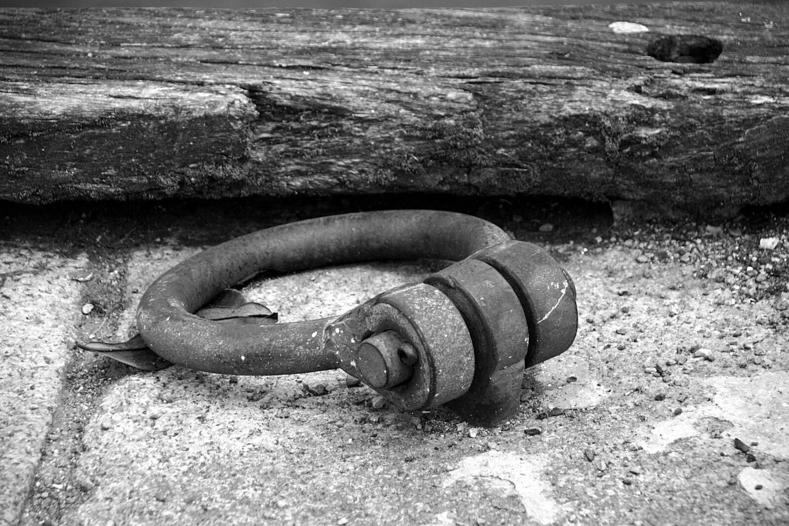 Nikon D5200 sample photo. Ring, metal, scrap photography