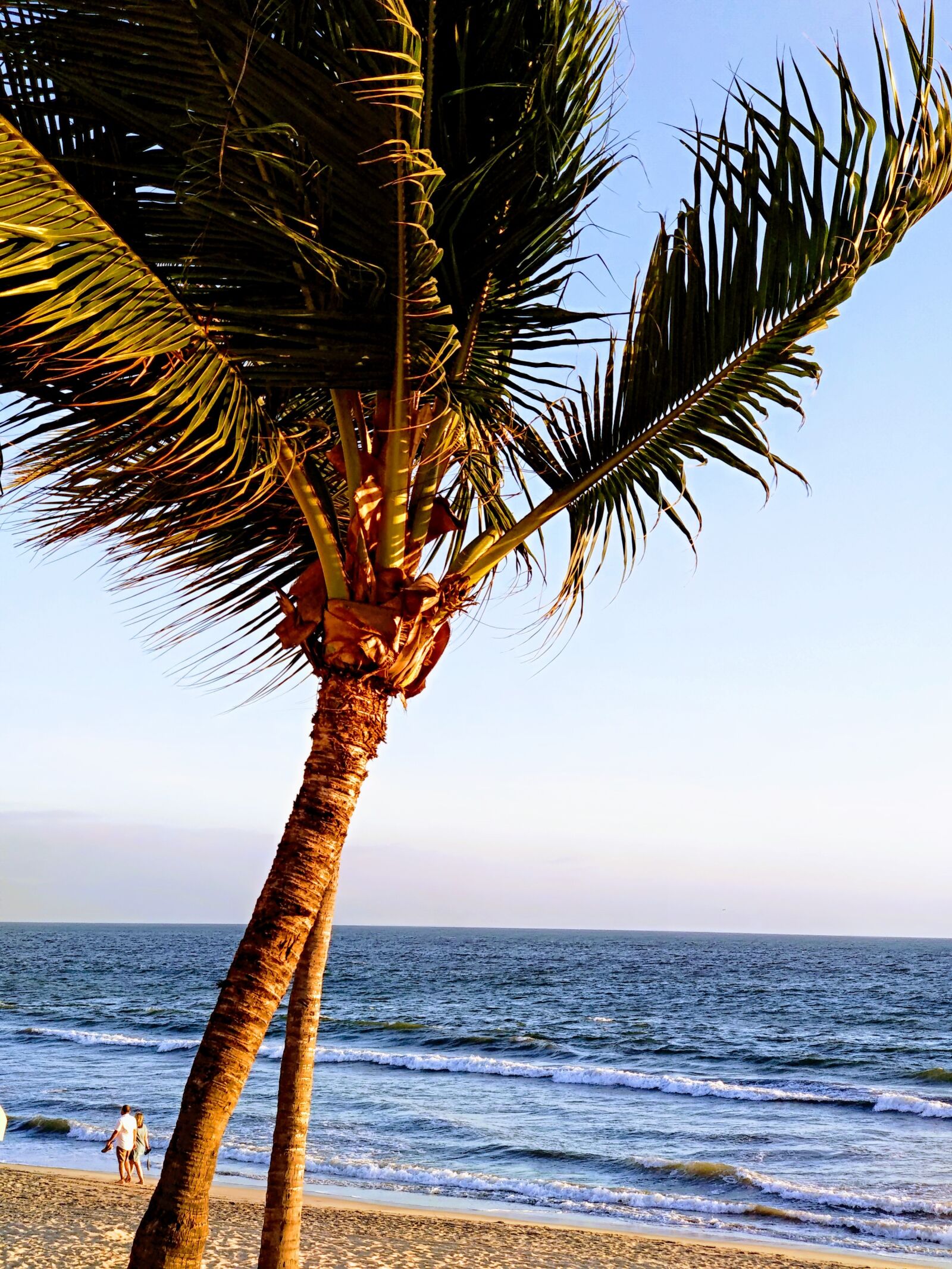 Xiaomi Mi A1 sample photo. Beach, palms, couple photography