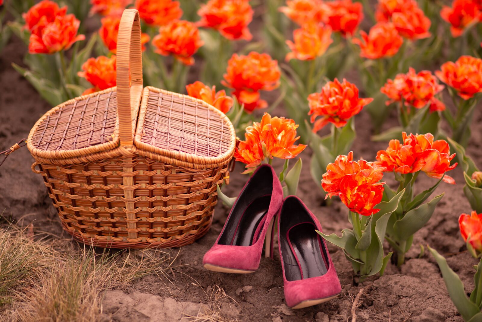 Canon EOS 5D Mark III + Canon EF 85mm F1.8 USM sample photo. Basket, shoes, tulips photography