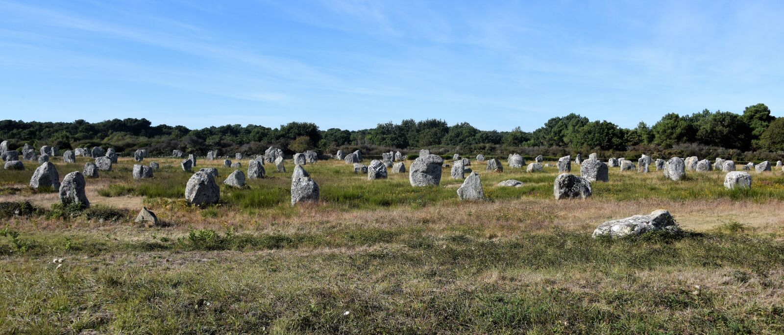Nikon D810 sample photo. Alignments, carnac, france photography
